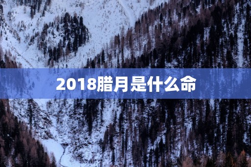 2018腊月是什么命