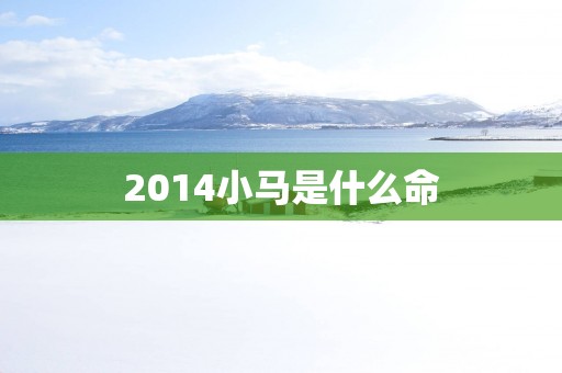 2014小马是什么命
