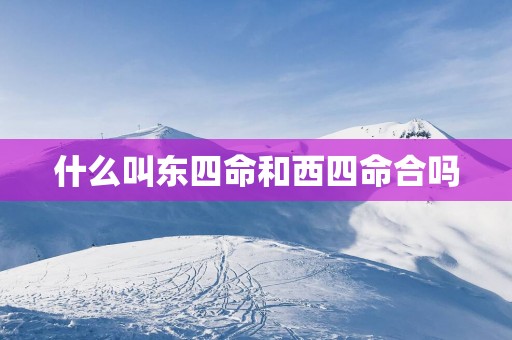 什么叫东四命和西四命合吗