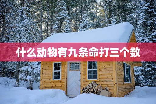 什么动物有九条命打三个数