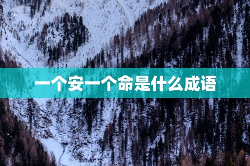 一个安一个命是什么成语