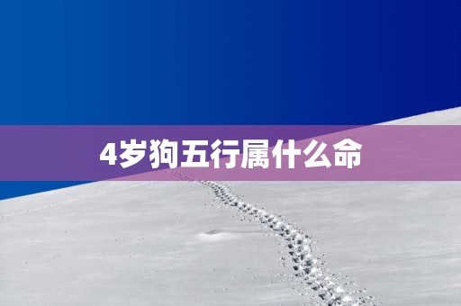 4岁狗五行属什么命