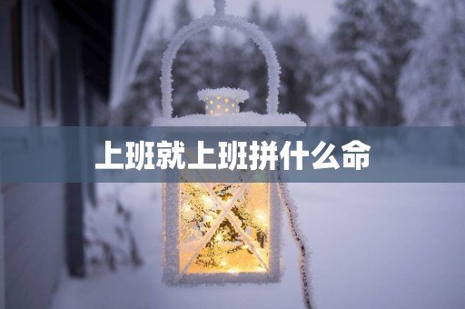 上班就上班拼什么命