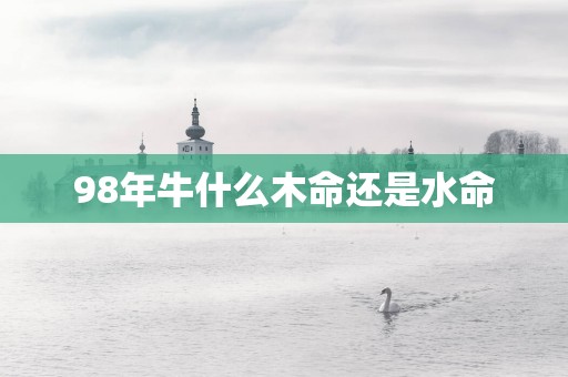 98年牛什么木命还是水命