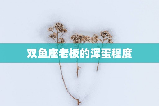 双鱼座老板的浑蛋程度