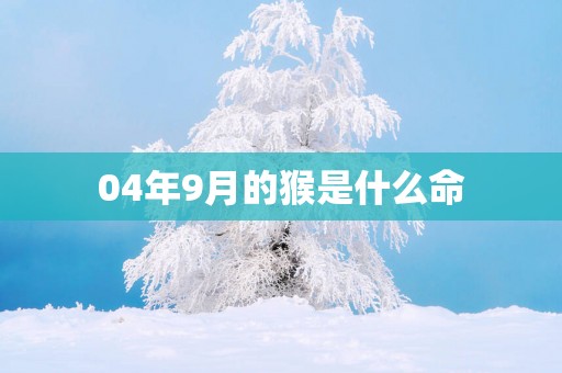 04年9月的猴是什么命