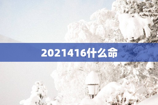 2025416什么命