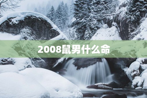 2008鼠男什么命