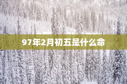 97年2月初五是什么命
