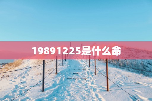 19891225是什么命