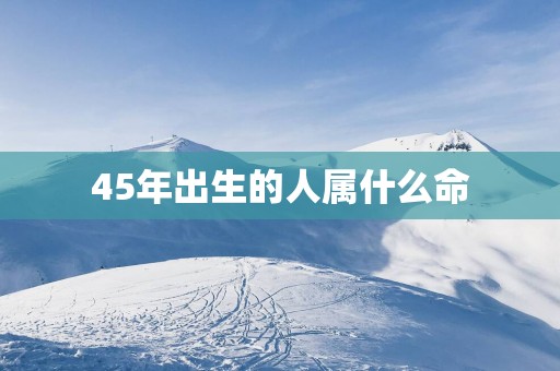 45年出生的人属什么命