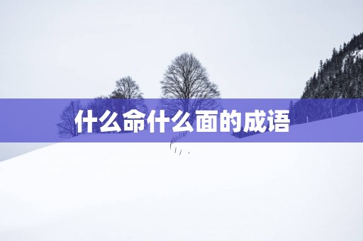 什么命什么面的成语