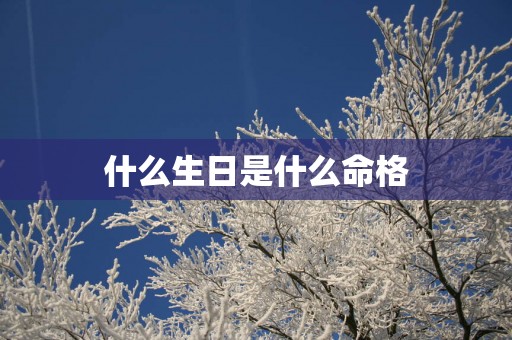 什么生日是什么命格