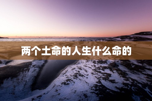 两个土命的人生什么命的