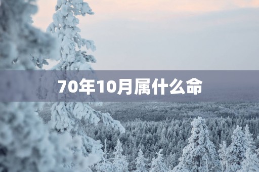 70年10月属什么命
