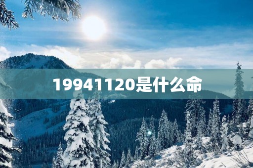 19941120是什么命