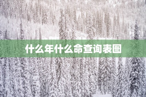 什么年什么命查询表图