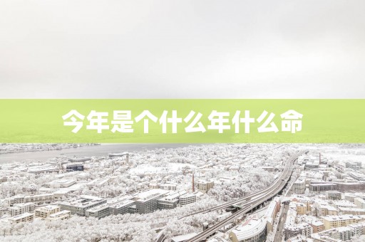 今年是个什么年什么命