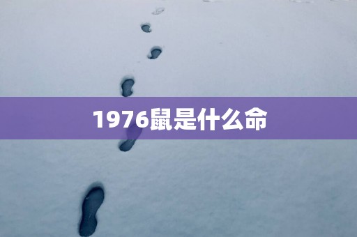 1976鼠是什么命