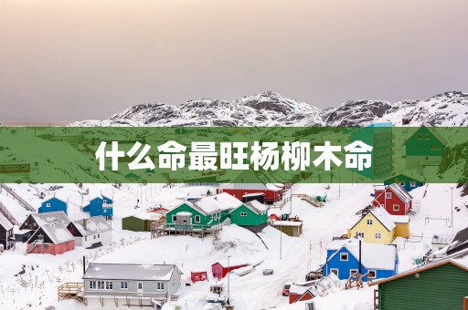 什么命最旺杨柳木命