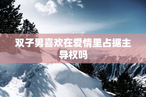 双子男喜欢在爱情里占据主导权吗