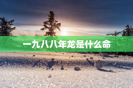 一九八八年龙是什么命