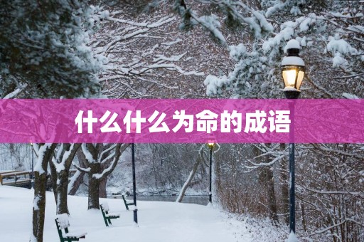 什么什么为命的成语