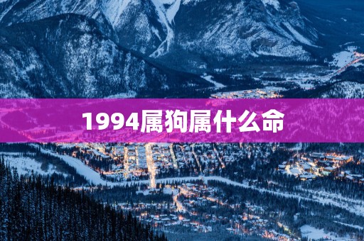 1994属狗属什么命