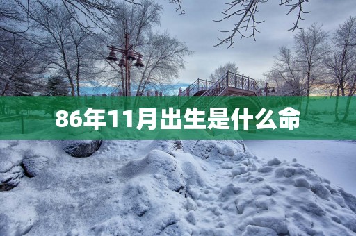 86年11月出生是什么命
