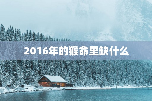 2016年的猴命里缺什么