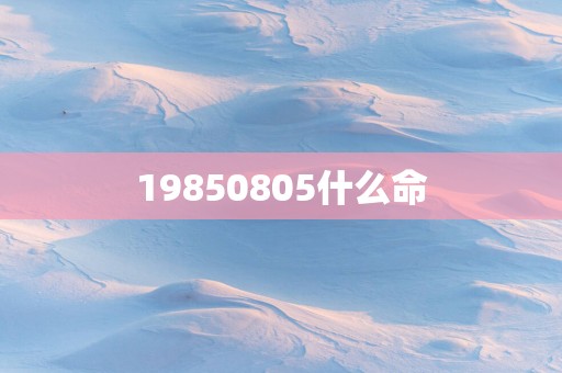 19850805什么命