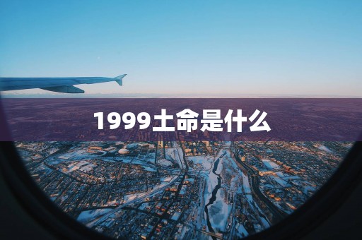 1999土命是什么