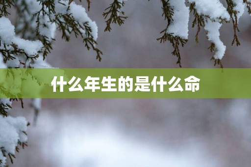 什么年生的是什么命