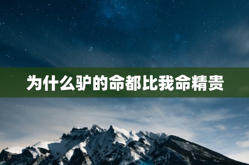 为什么驴的命都比我命精贵