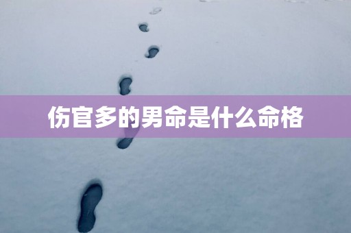 伤官多的男命是什么命格