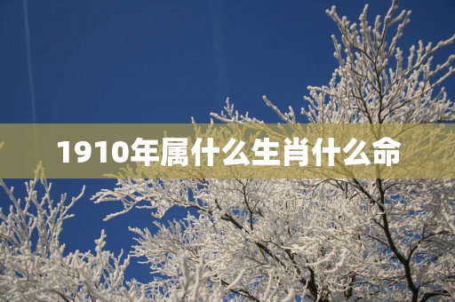 1910年属什么生肖什么命