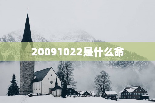 20091022是什么命