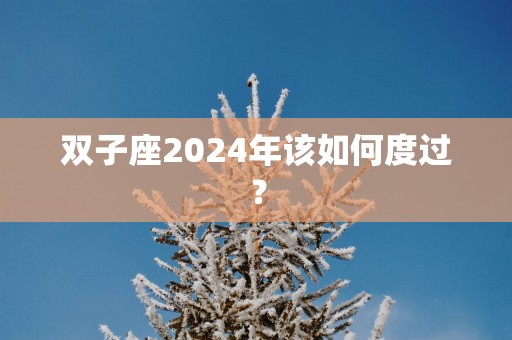 双子座2025年该如何度过？
