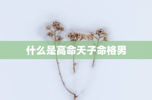 什么是高命天子命格男