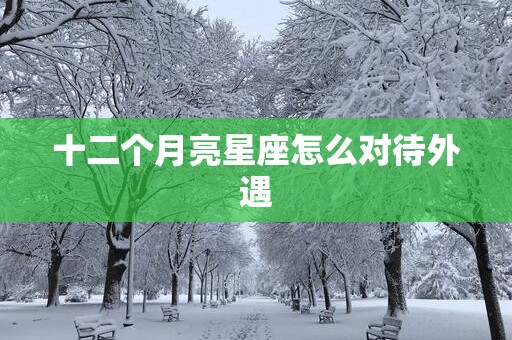 十二个月亮星座怎么对待外遇