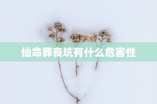 仙命葬丧坑有什么危害性