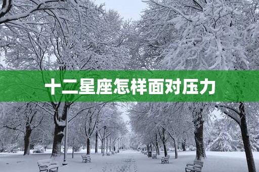 十二星座怎样面对压力