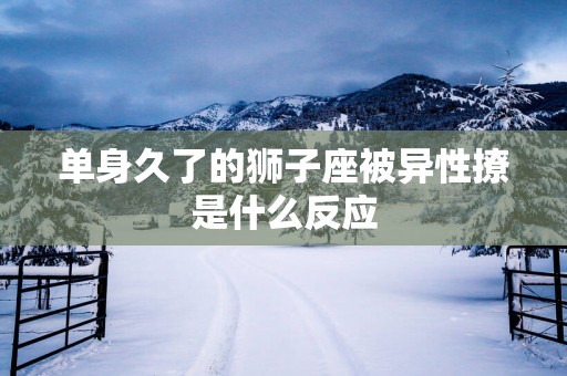 单身久了的狮子座被异性撩是什么反应