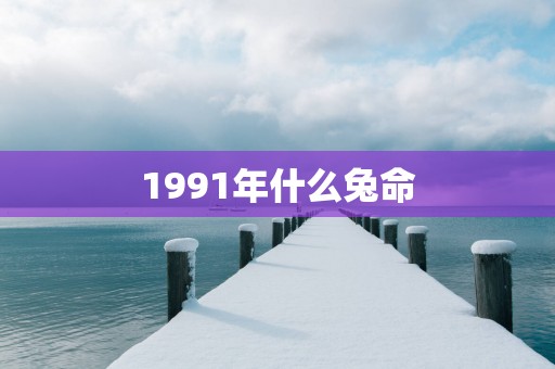 1991年什么兔命
