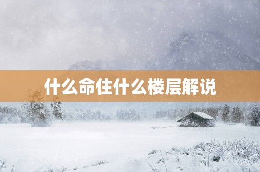 什么命住什么楼层解说