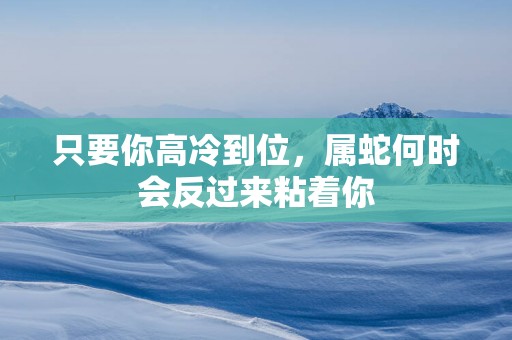 只要你高冷到位，属蛇何时会反过来粘着你