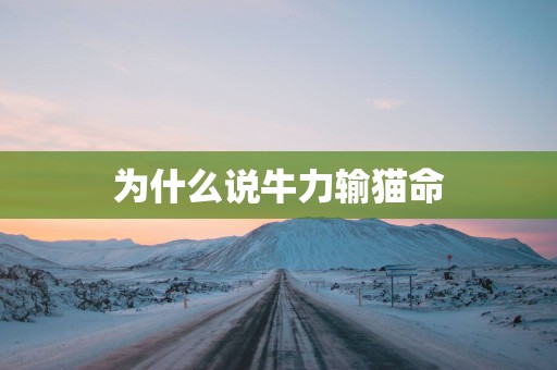 为什么说牛力输猫命