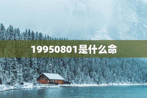 19950801是什么命