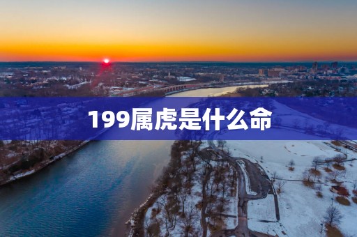 199属虎是什么命