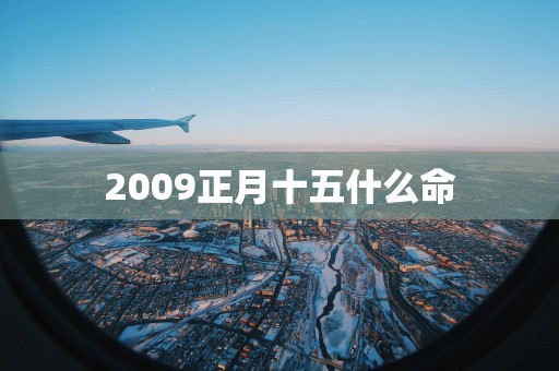 2009正月十五什么命